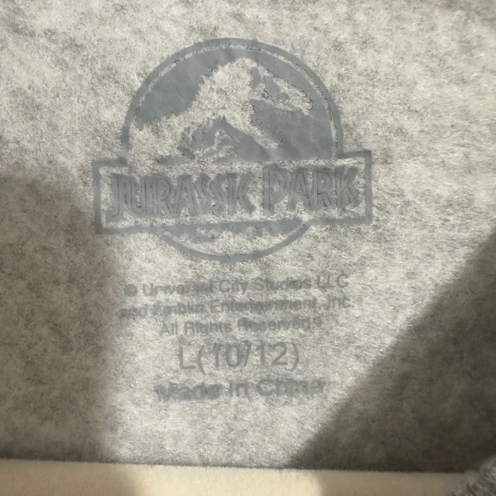 Jurassic Park Kids Gray‎ T-Rex 1993 Tour Graphic Sweatshirt Size L 10/12